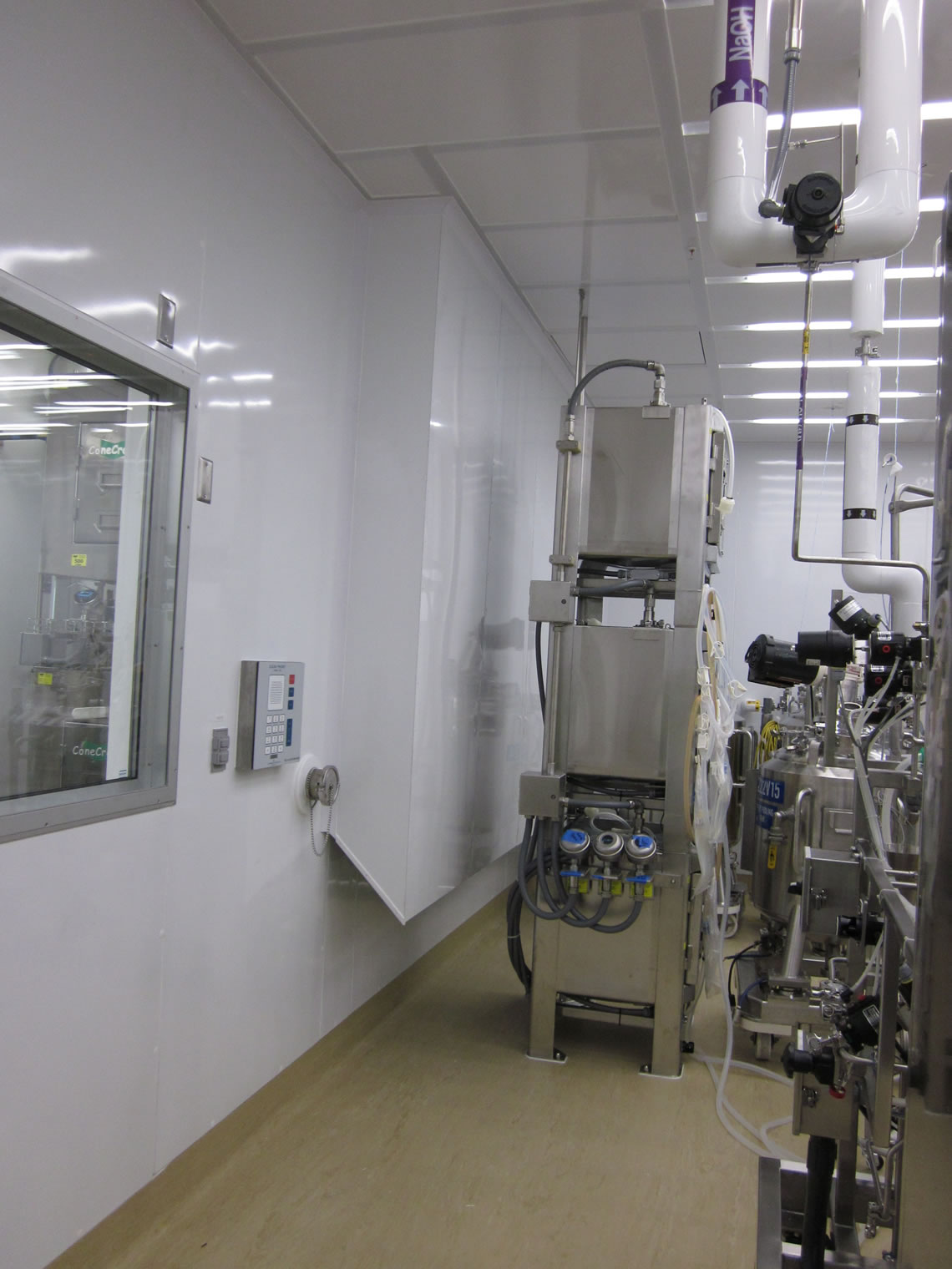 Bayer-B60 110210 023